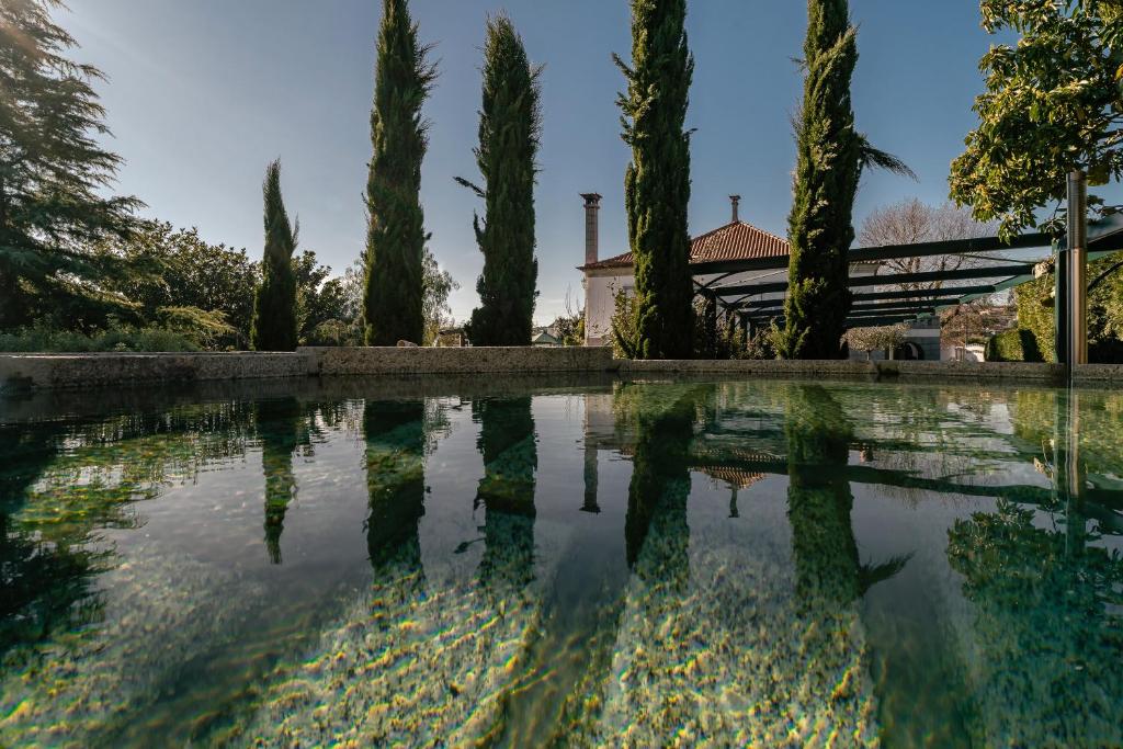 W430 Guimarães — abrir site ou reservas